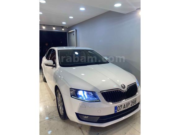 Sahibinden Skoda Octavia 1.6 TDI Elegance 2013 Model  183.000 km Beyaz
