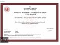 2008 - RENAULT MEGANE - EXPRESSİON+DİZEL+OTOMATİK+100 HP!