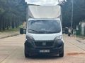 ŞENOCAK AUTO'dan FİAT DUCATO 4200XL 65.000 KM 'de