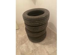 Petlas 195/65/16C