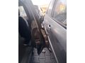 2004 Ford Fusion 1.6 Benzin HURDA BELGELİ