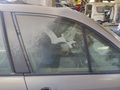 2005 Renault Scenic 1.5 dCi Dyn HURDA BELGELİ