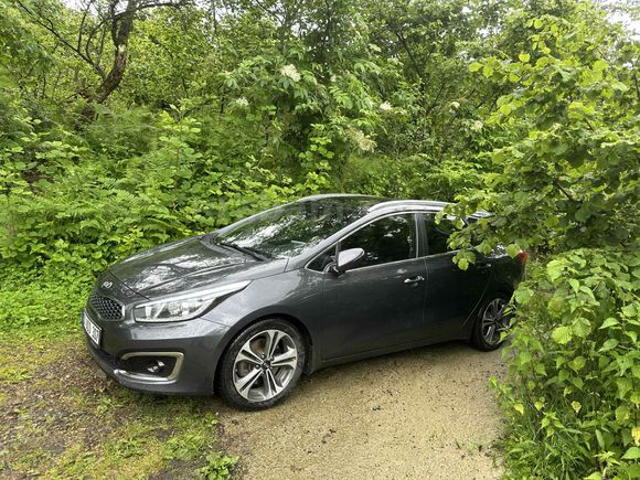 Sahibinden Değişensiz Boyasız Kia Ceed 1.6 CRDi Concept Plus SW 2017 Model 