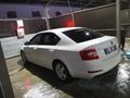 Sahibinden Skoda Octavia 1.6 TDI Optimal 2017 Model