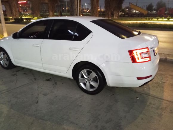 Sahibinden Skoda Octavia 1.6 TDI Optimal 2017 Model