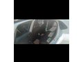 Sahibinden Renault Clio 1.0 TCe Joy 2021