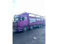 Sahibinden Scania G 360 hatasız boyasız 