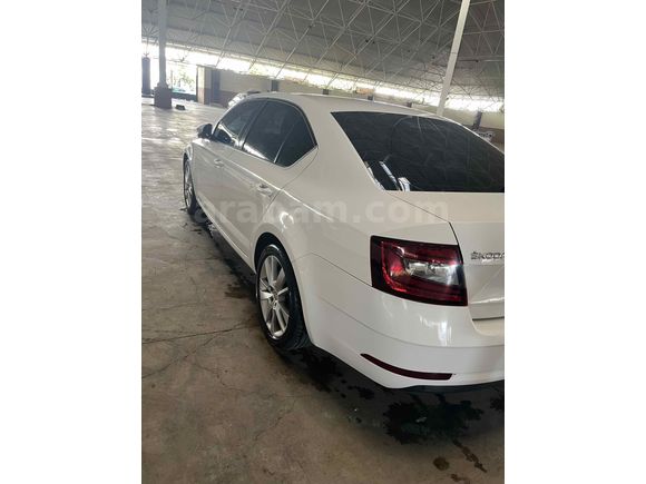 Sahibinden Skoda Octavia 1.6 TDI Style 2018 Model 