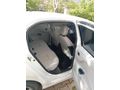 Sahibinden Peugeot 301 1.6 HDi Allure 2013 Model