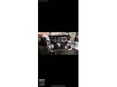 MAN E6 D MOTOR 2020 SONRASI