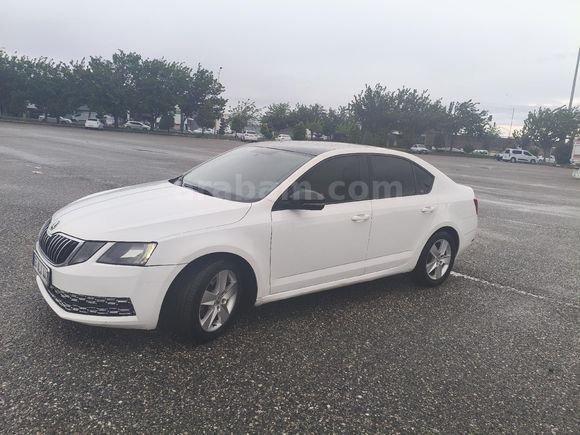 Sahibinden HATASIZ BOYASIZ Skoda Octavia 1.6 TDI Optimal 2017 Model