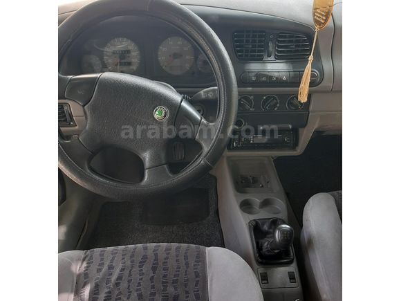 tertemiz aile araci Skoda.
