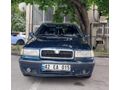 tertemiz aile araci Skoda.