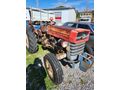 Galeriden Massey Ferguson 135 Muğla