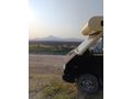 RENAULT TRAFİC MK1 T1100 KARAVAN