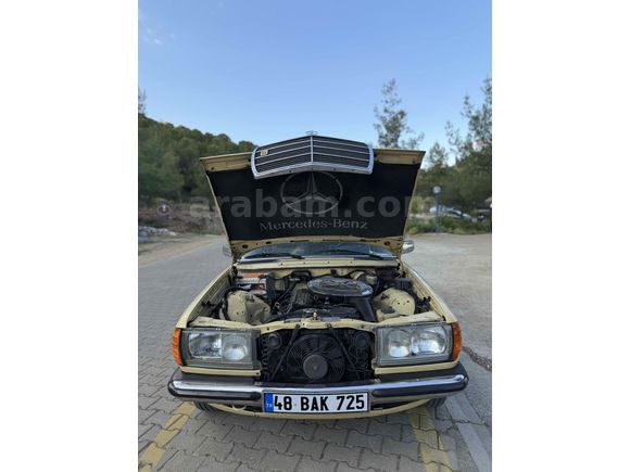 Sahibinden Mercedes - Benz 230 E 1980 Model 