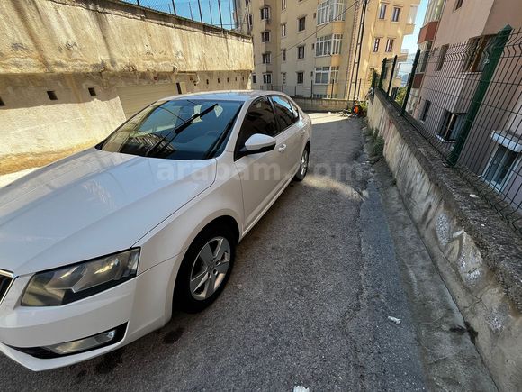 Sahibinden Skoda Octavia 1.6 TDI Optimal 2016 Model 