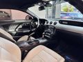 BALKAN MOTORS - 2016 FORD MUSTANG 2.3 FASTBACK SHELBY BODY KİT