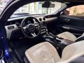 BALKAN MOTORS - 2016 FORD MUSTANG 2.3 FASTBACK SHELBY BODY KİT