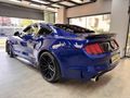 BALKAN MOTORS - 2016 FORD MUSTANG 2.3 FASTBACK SHELBY BODY KİT