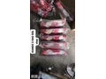 RENAULT KANGO 3 STOP SAG SOL