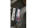 RENAULT KANGO SAG SOL STOP SIFIR