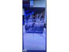 TRANSPORTER T7.T7 SAG ORTA KAPI SIFIR 7LA843108E