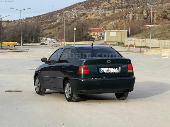 // BOYLU\\ DAN Polo Classic