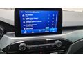 Sahibinden Ford Kuga 1.5 EcoBlue Titanium 2020 Model