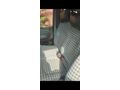 Sahibinden Hyundai Starex 2.5 CRDI Multiway 2007 Model