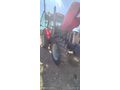 Sahibinden Massey Ferguson Diğer