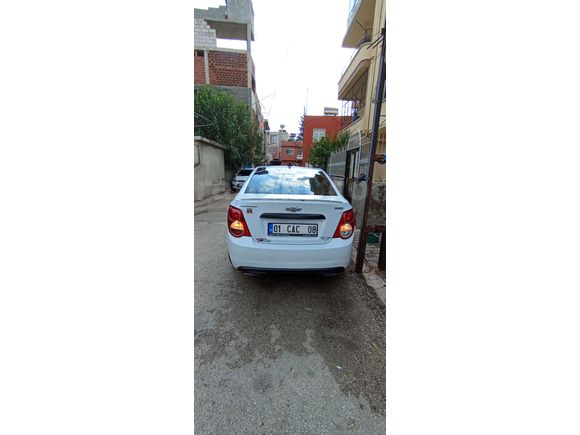 LS"NİN GÖZDESİ