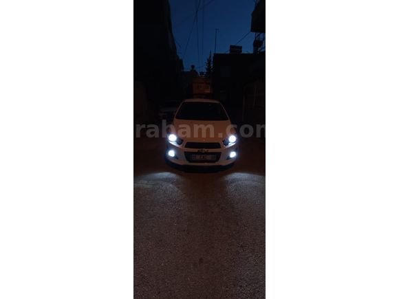 LS"NİN GÖZDESİ