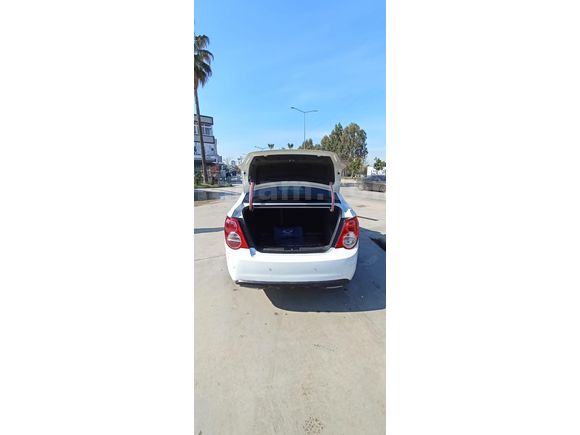 LS"NİN GÖZDESİ