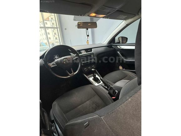 BAKIMLI DEGİŞENSİZ OCTAVIA