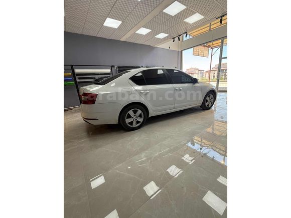BAKIMLI DEGİŞENSİZ OCTAVIA