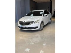 BAKIMLI DEGİŞENSİZ OCTAVIA