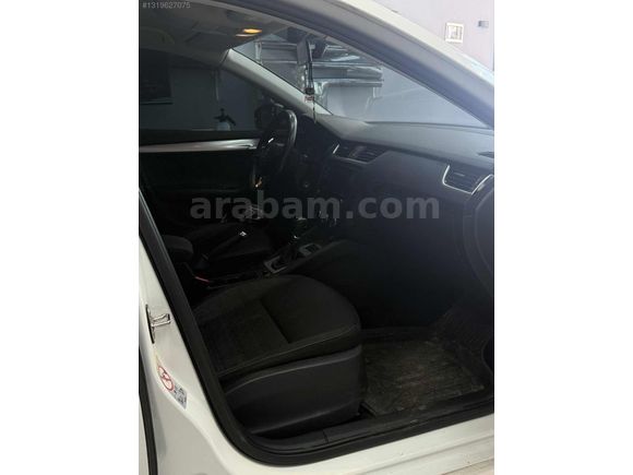 BAKIMLI DEGİŞENSİZ OCTAVIA
