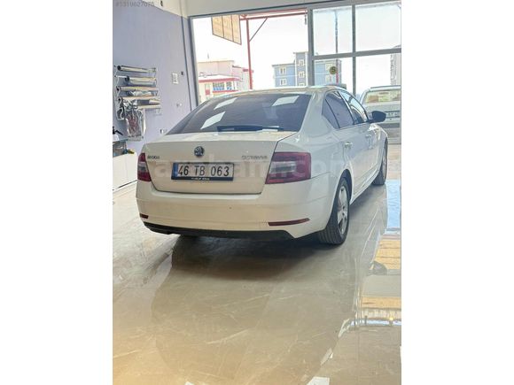 BAKIMLI DEGİŞENSİZ OCTAVIA