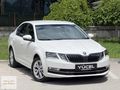 YENİ KASA_İÇİ BEJ_DEĞİŞENSİZ_STYLE_OCTAVİA