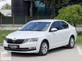 YENİ KASA_İÇİ BEJ_DEĞİŞENSİZ_STYLE_OCTAVİA