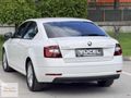 YENİ KASA_İÇİ BEJ_DEĞİŞENSİZ_STYLE_OCTAVİA