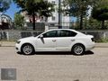 Group Motors | 2017 Octavia Dizel Otomatik Style