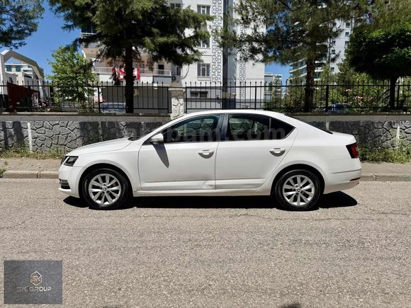 Group Motors | 2017 Octavia Dizel Otomatik Style