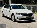 Group Motors | 2017 Octavia Dizel Otomatik Style