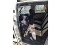 Sahibinden Fiat Doblo Combi 1.6 Multijet Premio 2013 Model 