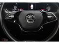 AK-CAR'DAN 2021 PRESTIGE SUPERB ELK. BAGAJ - CAM TAVAN