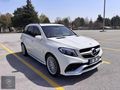 DÜŞÜK KM GLE GÖRÜNÜM ML 350 CDİ 4 MATİC