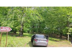 Sahibinden Fiat Egea 1.4 Fire Easy Plus 2024 Model