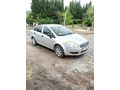 Sahibinden Fiat Linea 1.4 Fire Active 2009 Model  200.000 km Gri